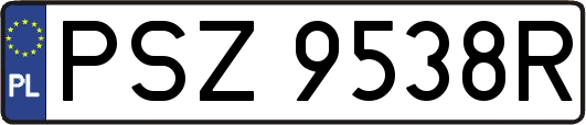 PSZ9538R