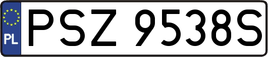 PSZ9538S