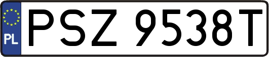 PSZ9538T