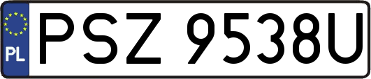 PSZ9538U