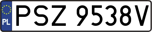 PSZ9538V