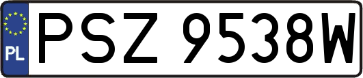 PSZ9538W