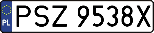 PSZ9538X