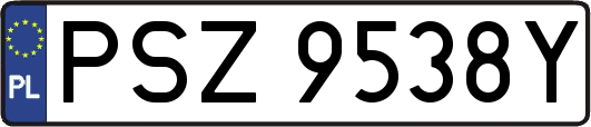 PSZ9538Y