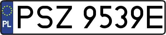 PSZ9539E