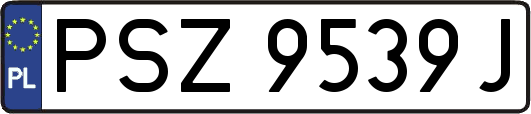 PSZ9539J