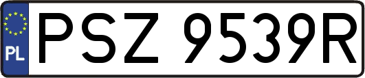 PSZ9539R
