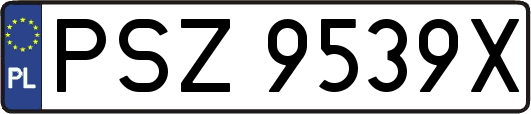 PSZ9539X