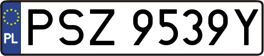 PSZ9539Y