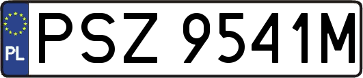 PSZ9541M