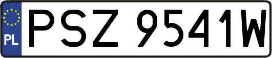 PSZ9541W