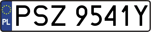 PSZ9541Y