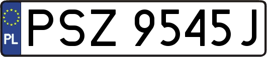 PSZ9545J