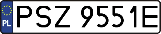 PSZ9551E