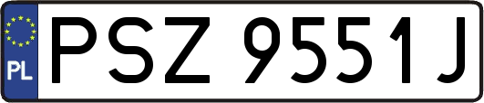 PSZ9551J