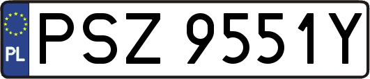 PSZ9551Y