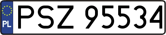 PSZ95534