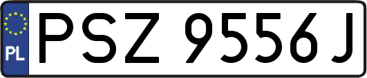 PSZ9556J