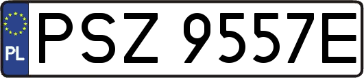PSZ9557E