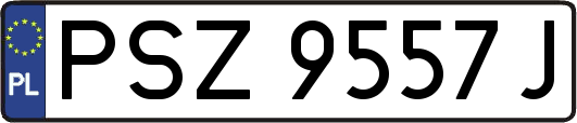 PSZ9557J