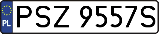 PSZ9557S