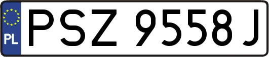 PSZ9558J