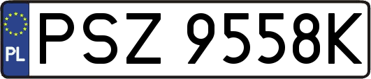 PSZ9558K