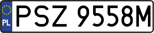 PSZ9558M