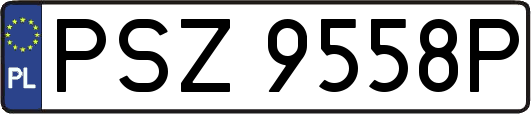 PSZ9558P