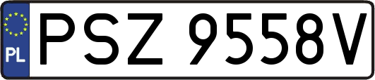 PSZ9558V