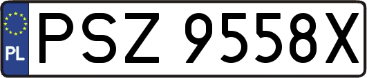 PSZ9558X