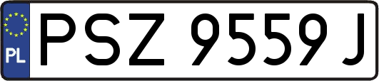 PSZ9559J