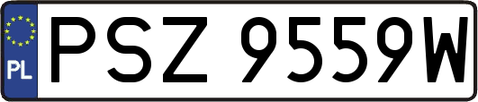 PSZ9559W
