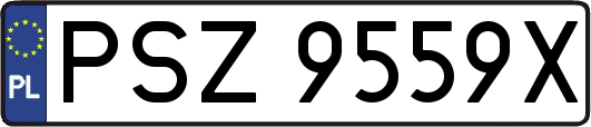 PSZ9559X