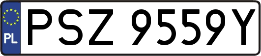 PSZ9559Y