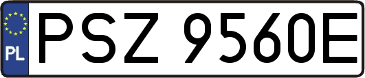 PSZ9560E