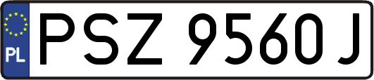 PSZ9560J