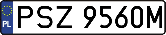 PSZ9560M