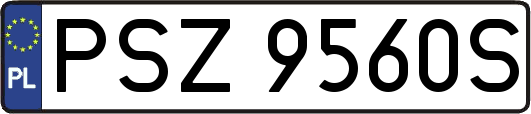 PSZ9560S