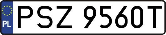 PSZ9560T