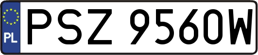 PSZ9560W