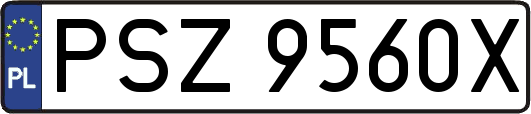 PSZ9560X