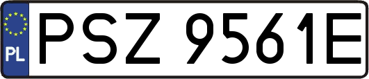 PSZ9561E