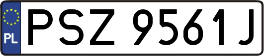 PSZ9561J