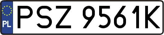 PSZ9561K