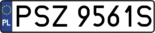 PSZ9561S