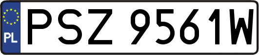 PSZ9561W