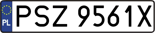 PSZ9561X