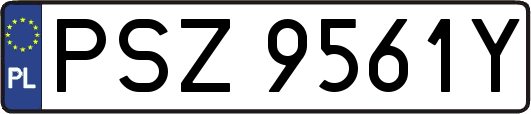 PSZ9561Y