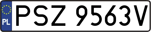 PSZ9563V